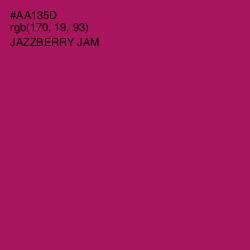 #AA135D - Jazzberry Jam Color Image