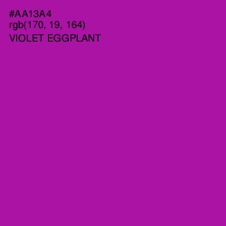 #AA13A4 - Violet Eggplant Color Image