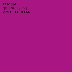 #AA1584 - Violet Eggplant Color Image