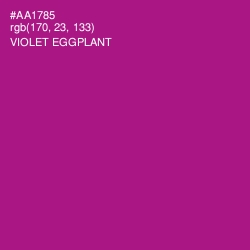#AA1785 - Violet Eggplant Color Image