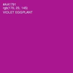 #AA1791 - Violet Eggplant Color Image