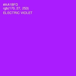 #AA1BFD - Electric Violet Color Image