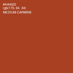 #AA4022 - Medium Carmine Color Image