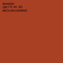 #AA4023 - Medium Carmine Color Image