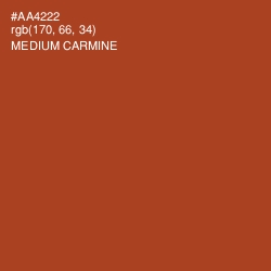 #AA4222 - Medium Carmine Color Image