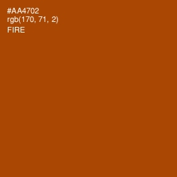 #AA4702 - Fire Color Image