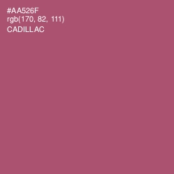 #AA526F - Cadillac Color Image