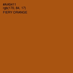 #AA5411 - Fiery Orange Color Image