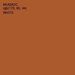 #AA5A2C - Paarl Color Image