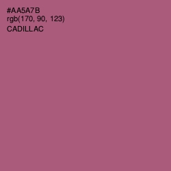 #AA5A7B - Cadillac Color Image