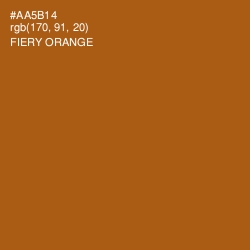 #AA5B14 - Fiery Orange Color Image
