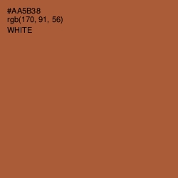 #AA5B38 - Brown Rust Color Image