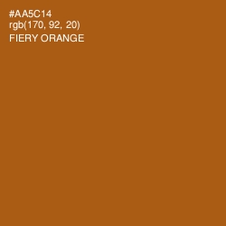 #AA5C14 - Fiery Orange Color Image