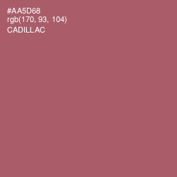 #AA5D68 - Cadillac Color Image