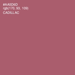 #AA5D6D - Cadillac Color Image