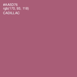 #AA5D76 - Cadillac Color Image