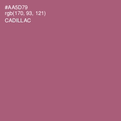 #AA5D79 - Cadillac Color Image