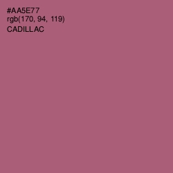 #AA5E77 - Cadillac Color Image