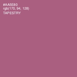 #AA5E80 - Tapestry Color Image