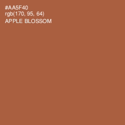 #AA5F40 - Apple Blossom Color Image