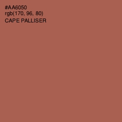 #AA6050 - Cape Palliser Color Image