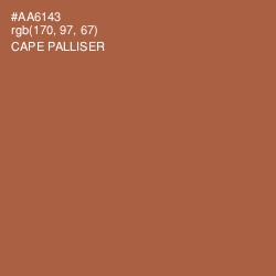 #AA6143 - Cape Palliser Color Image