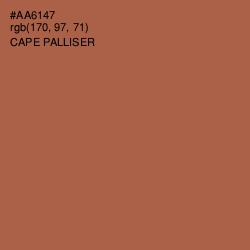 #AA6147 - Cape Palliser Color Image