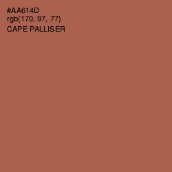 #AA614D - Cape Palliser Color Image