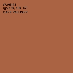 #AA6443 - Cape Palliser Color Image