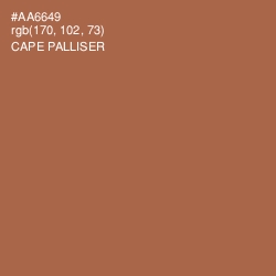 #AA6649 - Cape Palliser Color Image