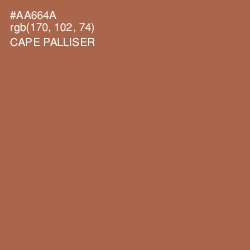 #AA664A - Cape Palliser Color Image