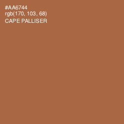 #AA6744 - Cape Palliser Color Image