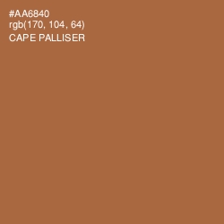 #AA6840 - Cape Palliser Color Image