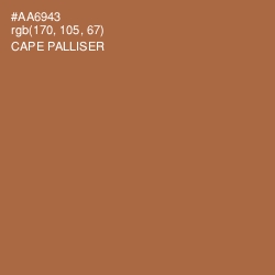 #AA6943 - Cape Palliser Color Image