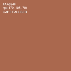 #AA694F - Cape Palliser Color Image