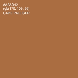 #AA6D42 - Cape Palliser Color Image