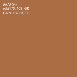 #AA6D44 - Cape Palliser Color Image