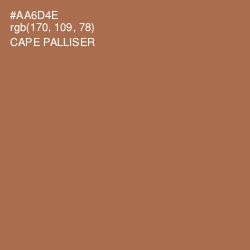 #AA6D4E - Cape Palliser Color Image