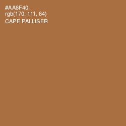 #AA6F40 - Cape Palliser Color Image