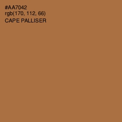 #AA7042 - Cape Palliser Color Image