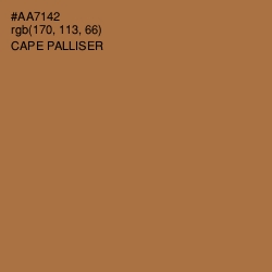 #AA7142 - Cape Palliser Color Image