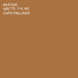 #AA7240 - Cape Palliser Color Image