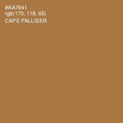#AA7641 - Cape Palliser Color Image