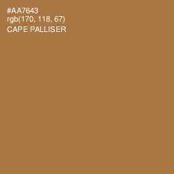 #AA7643 - Cape Palliser Color Image