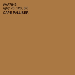 #AA7843 - Cape Palliser Color Image