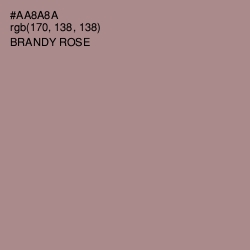 #AA8A8A - Brandy Rose Color Image