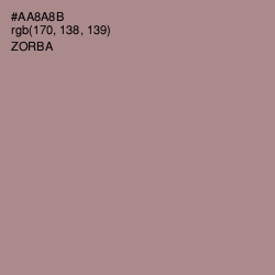 #AA8A8B - Zorba Color Image