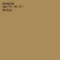 #AA8C5B - Muesli Color Image