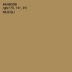#AA8D5B - Muesli Color Image