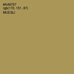#AA9757 - Muesli Color Image